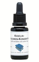 Kigelia-Liposomen-Konzentrat 20 ml - Pipettenflasche 