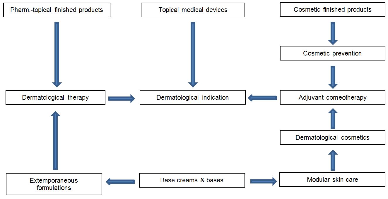 Interaction of dermatology and cosmetics