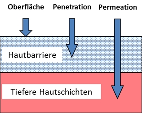 Penetration - Permeation